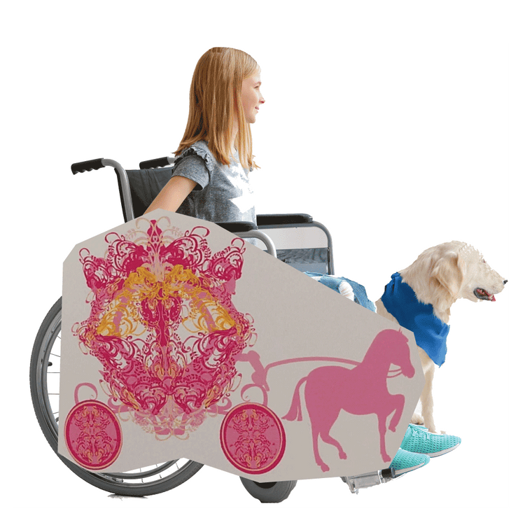 Princess Horse and Buggy 3 Wheelchair Costume Child's
