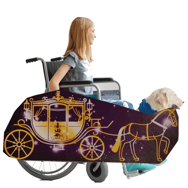 Dream Carriage Wheelchair Costume Child's