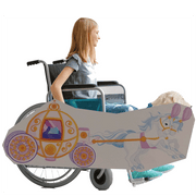 Fairy Tale Carriage Wheelchair Costume Child's