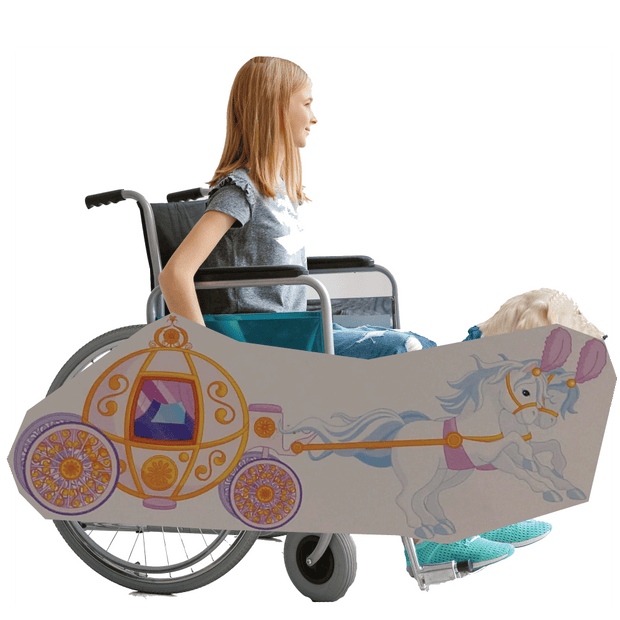 Fairy Tale Carriage Wheelchair Costume Child's