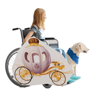 Princess Carriage Wheelchair Costume Child's