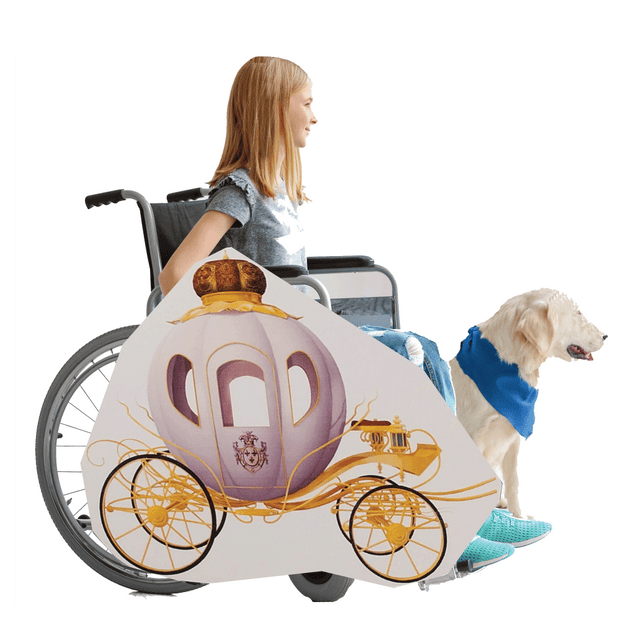Princess Carriage Wheelchair Costume Child's