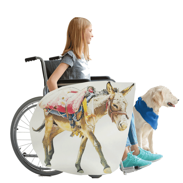 Donkey with Saddle Wheelchair Costume Child's