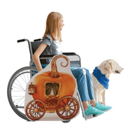 Pumpkin Carriage Wheelchair Costume Child's