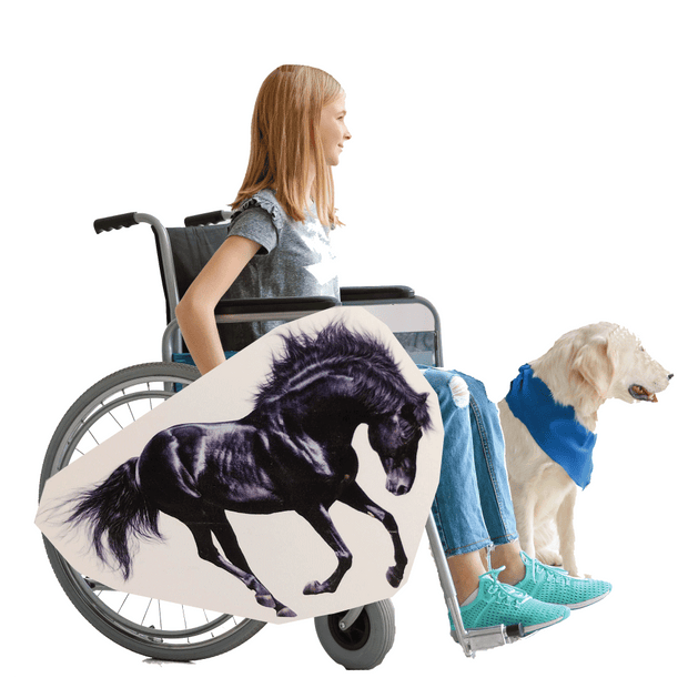 Friesian Horse Wheelchair Costume Child's