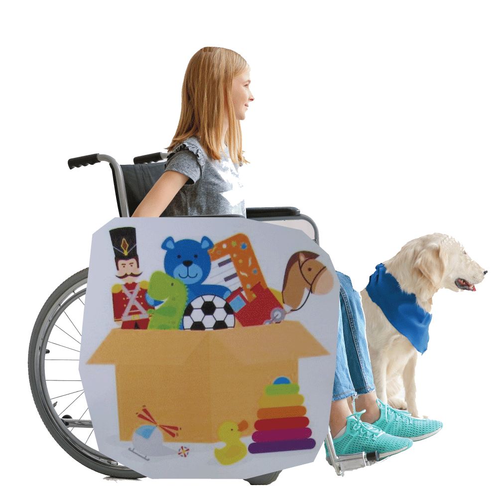 Box Of Toys Wheelchair Costume Child's Rolling Buddies