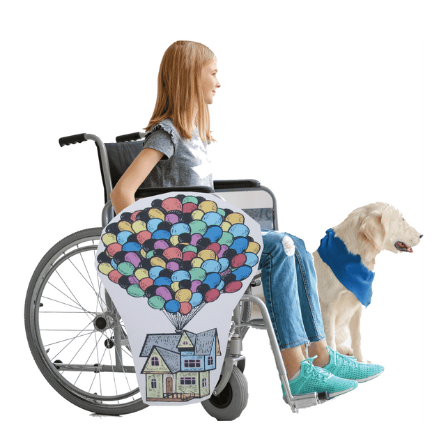 Up House Lookalike Wheelchair Costume Child's