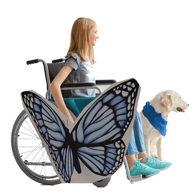 Blue Butterfly Wheelchair Costume Child's