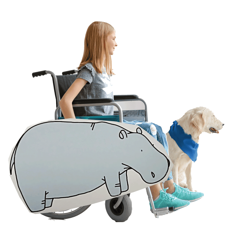 Hippo Wheelchair Costume Child's