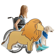 Lion 2 Wheelchair Costume Child's