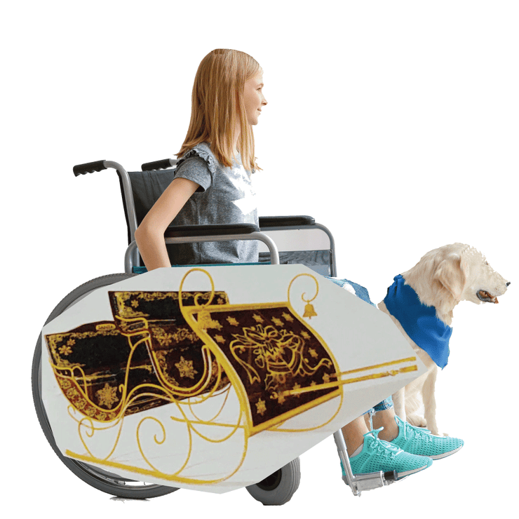 Sleigh Wheelchair Costume Child's