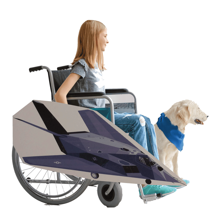 Stealth Fighter Jet Wheelchair Costume Child's