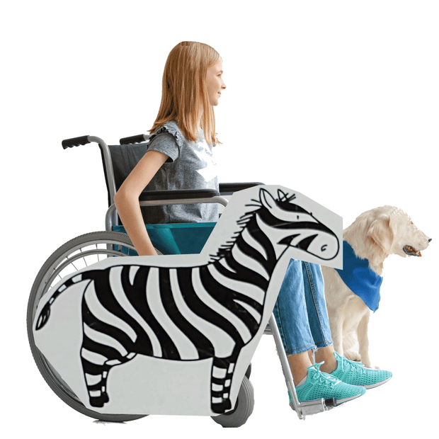 Zebra Wheelchair Costume Child's